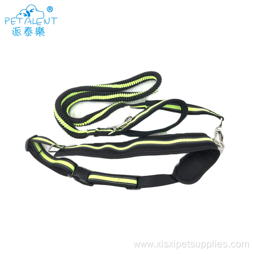 Customized Pet Supplies Adjustable Dog Collar